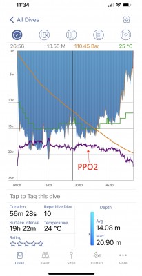 Xnip2022-08-17_11-35-33.jpg